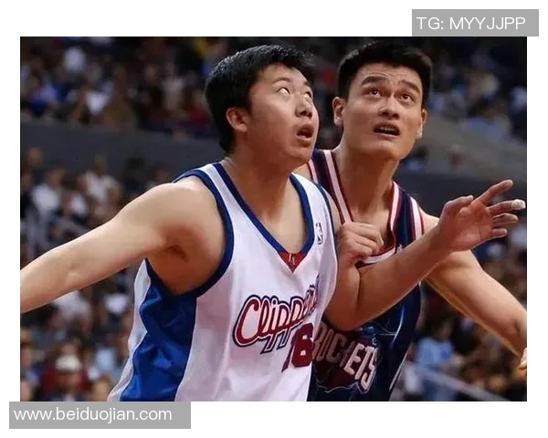 风投姚明：从篮球巨星到投资先锋的华丽转身与创业梦想